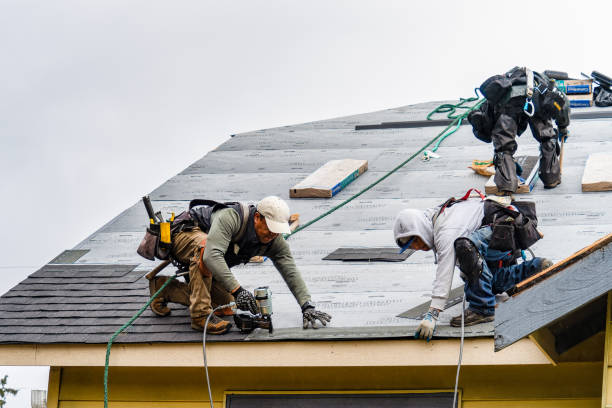 Professional Storm Damage Roof Repair technician working in DeWitt, AR