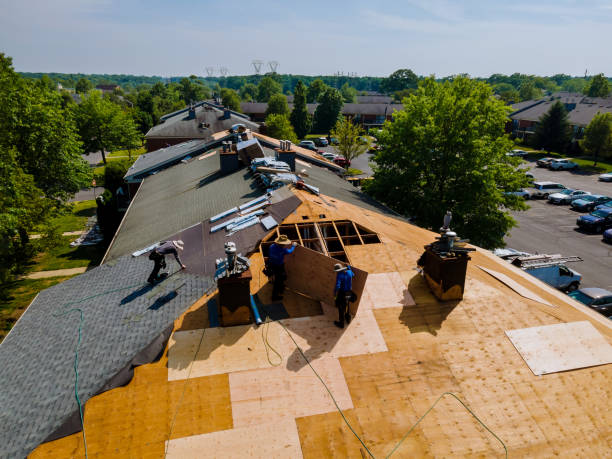 24/7 Emergency Storm Damage Roof Repair experts in DeWitt, AR